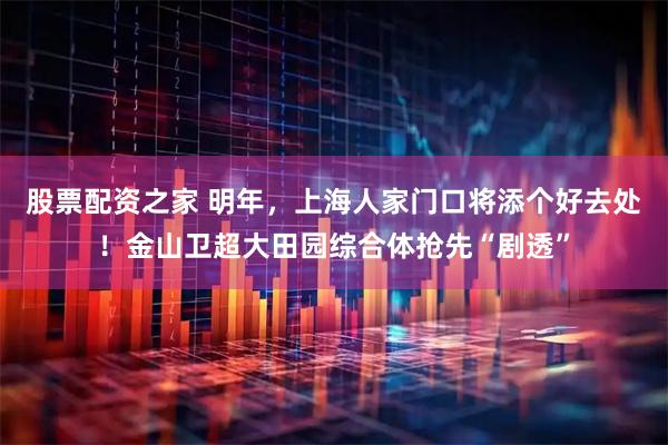 股票配资之家 明年，上海人家门口将添个好去处！金山卫超大田园综合体抢先“剧透”